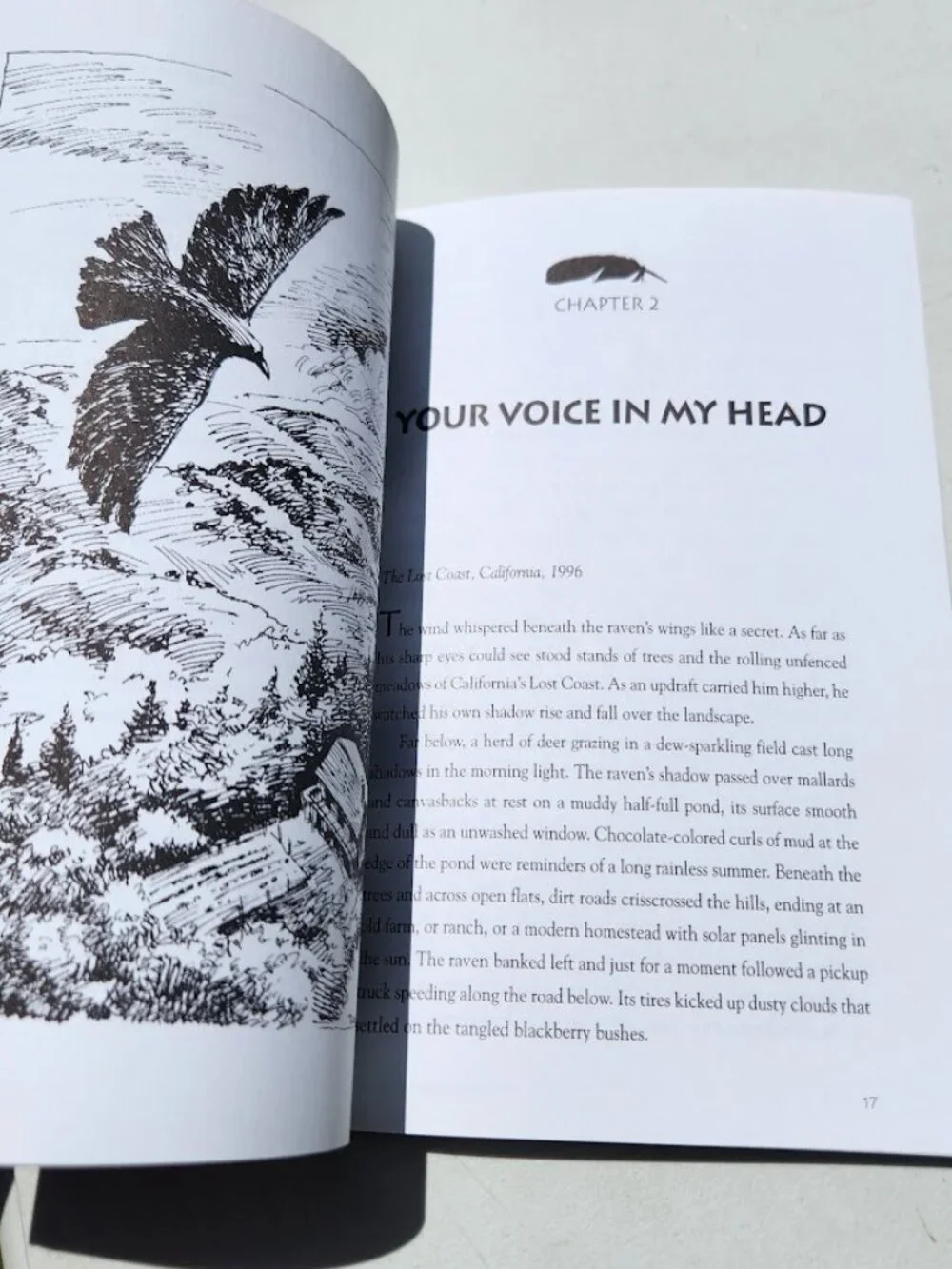 What the Parrot Told Alice Paperback Book by Dale Smith Young Adult Reading Mate